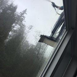 Reno Experts Alpine Gentle Roof Cleaning in Renton WA